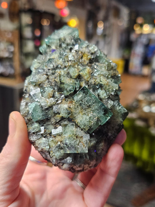 Diana Maria Fluorite ( Hidden Forest Pocket)