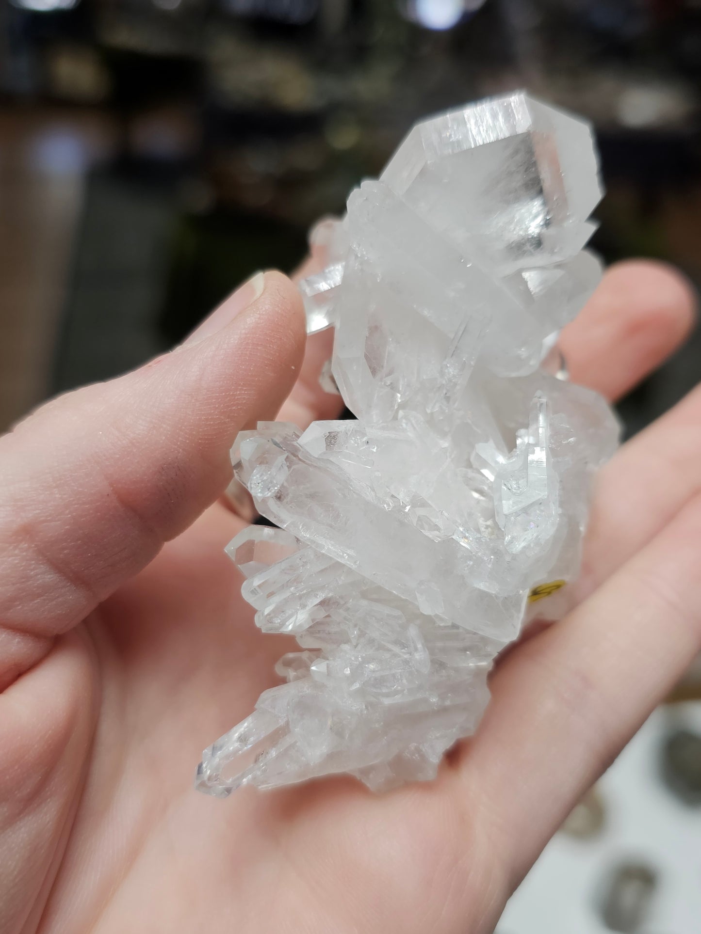 Faded Quartz