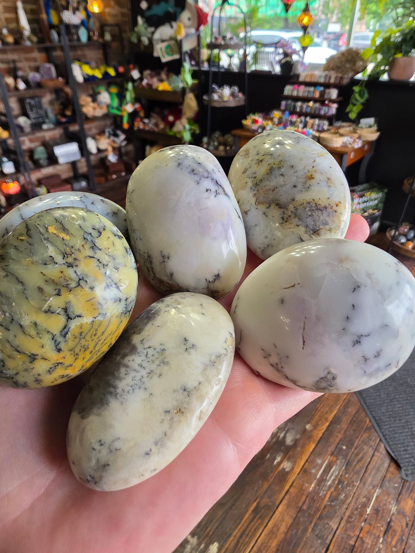 Dendritic Common Opal Palm Stone