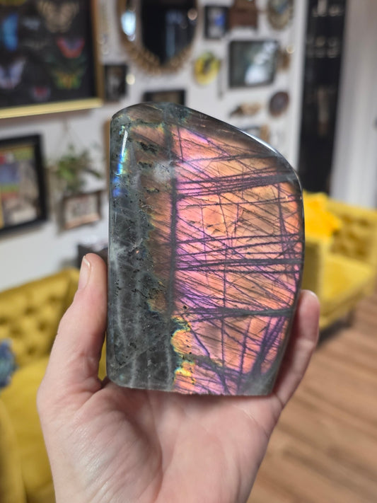 Sunset Labradorite Freeform