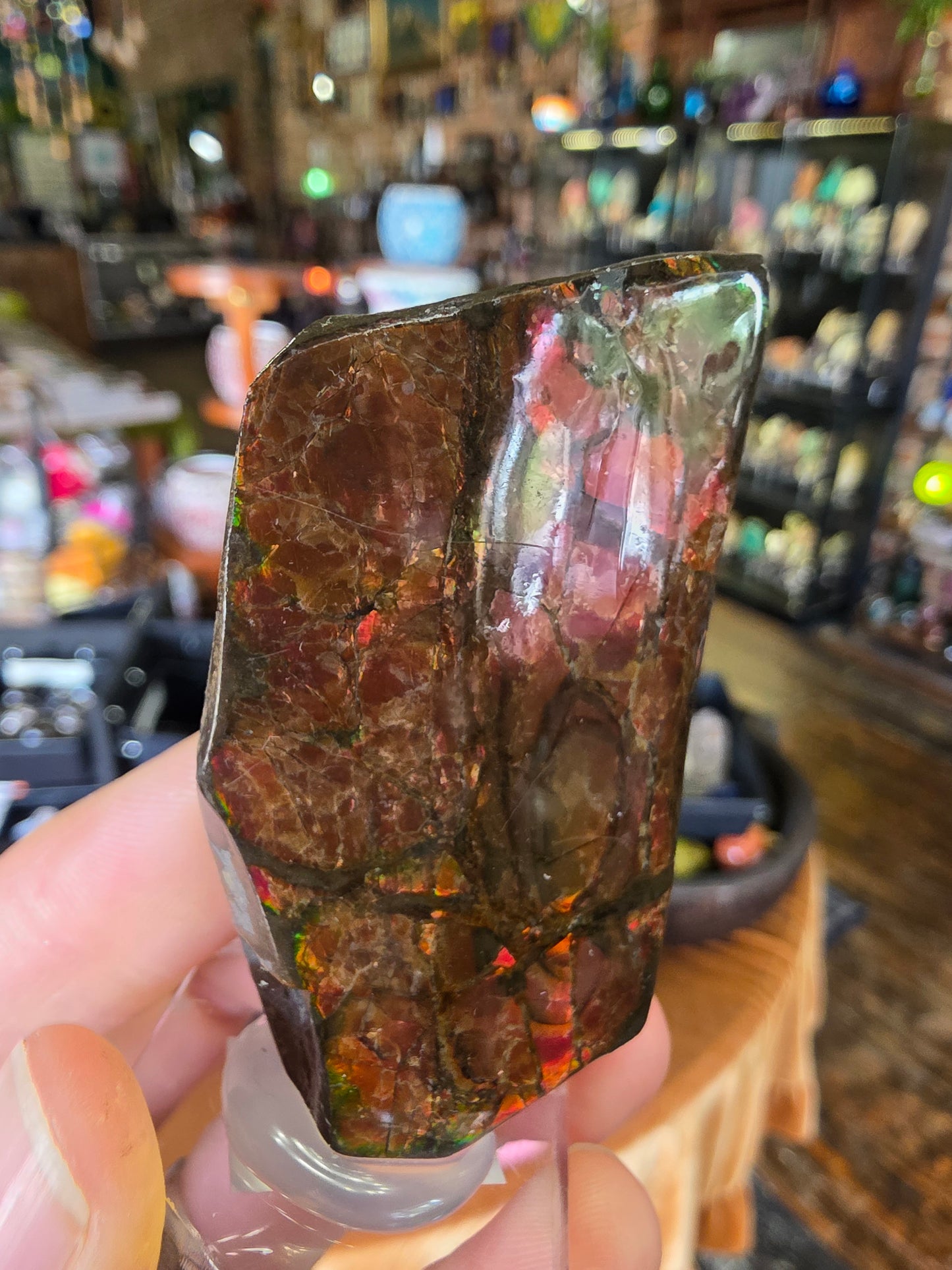 Ammolite
