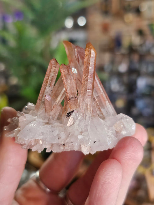 Quartz Cluster