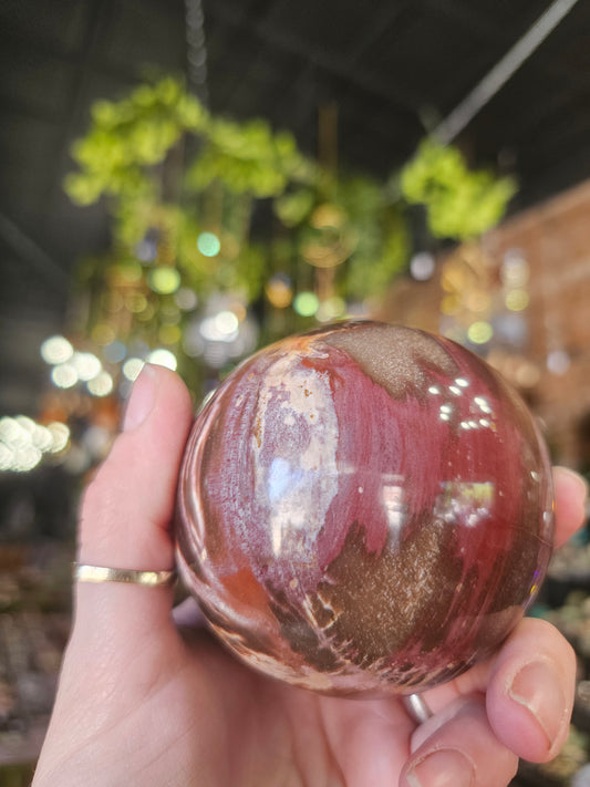 Petrified Wood  Sphere