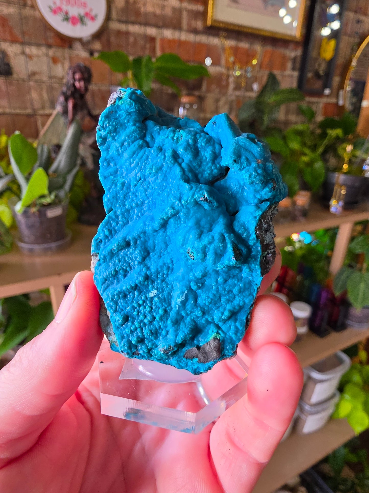 Chrysocolla and Malachite