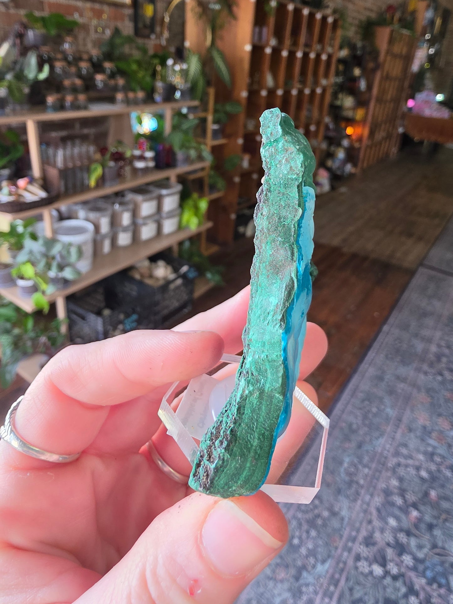 Chrysocolla and Malachite