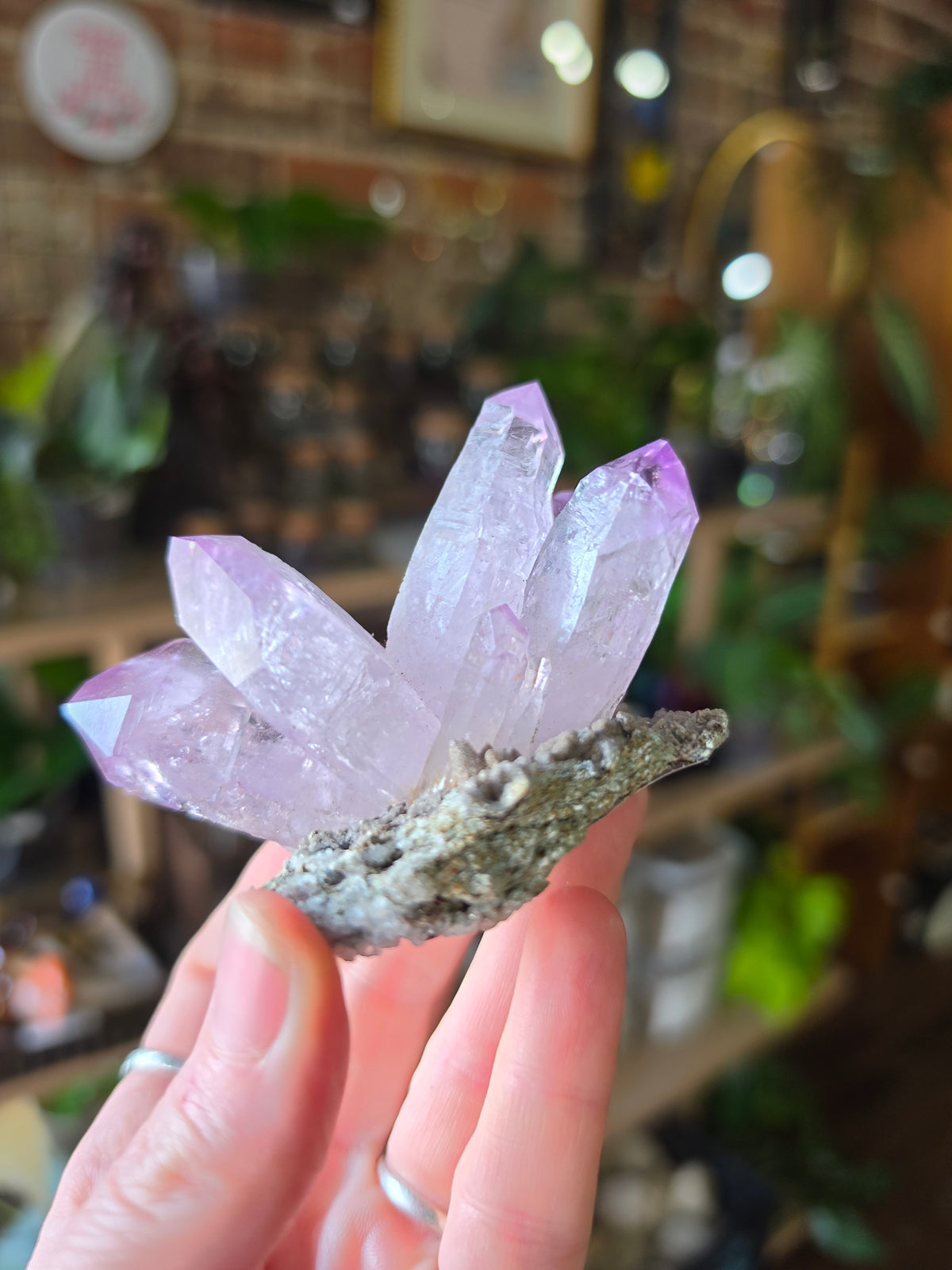 Vera Cruz Amethyst on Dolomite