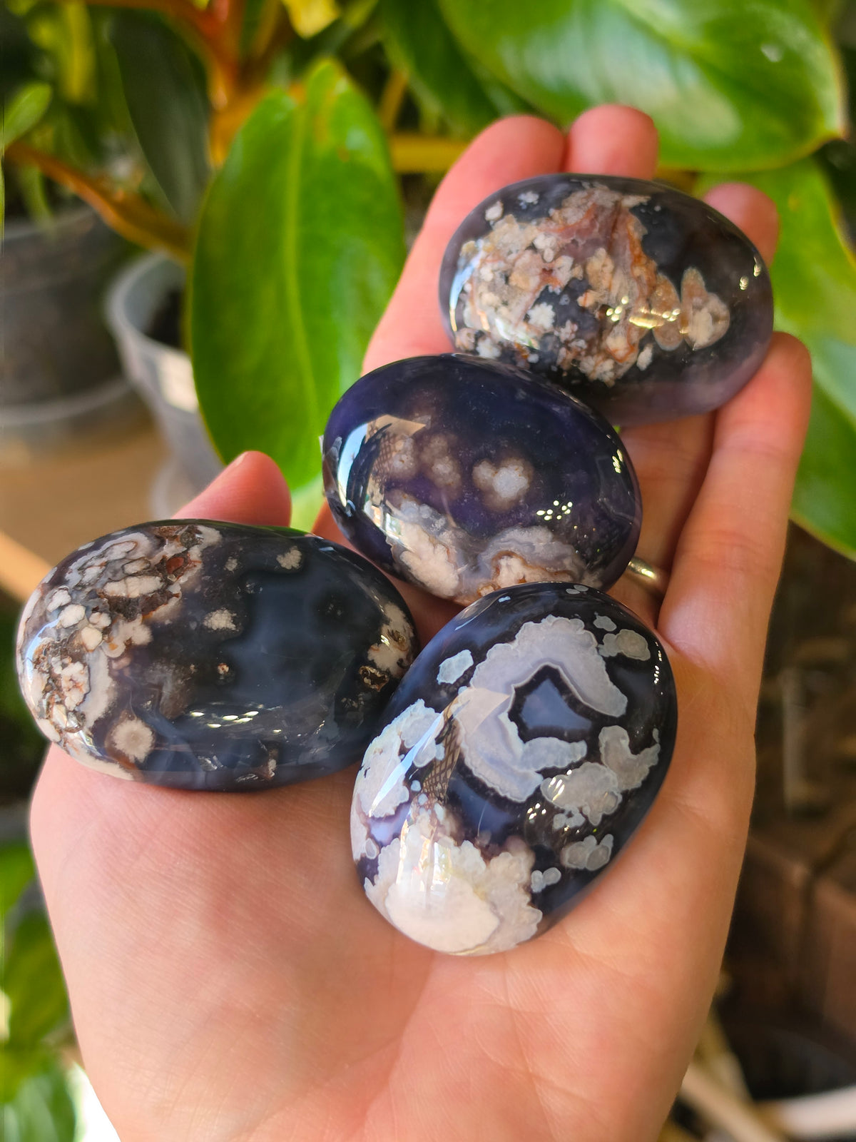 Blue Flower Agate Palmstone