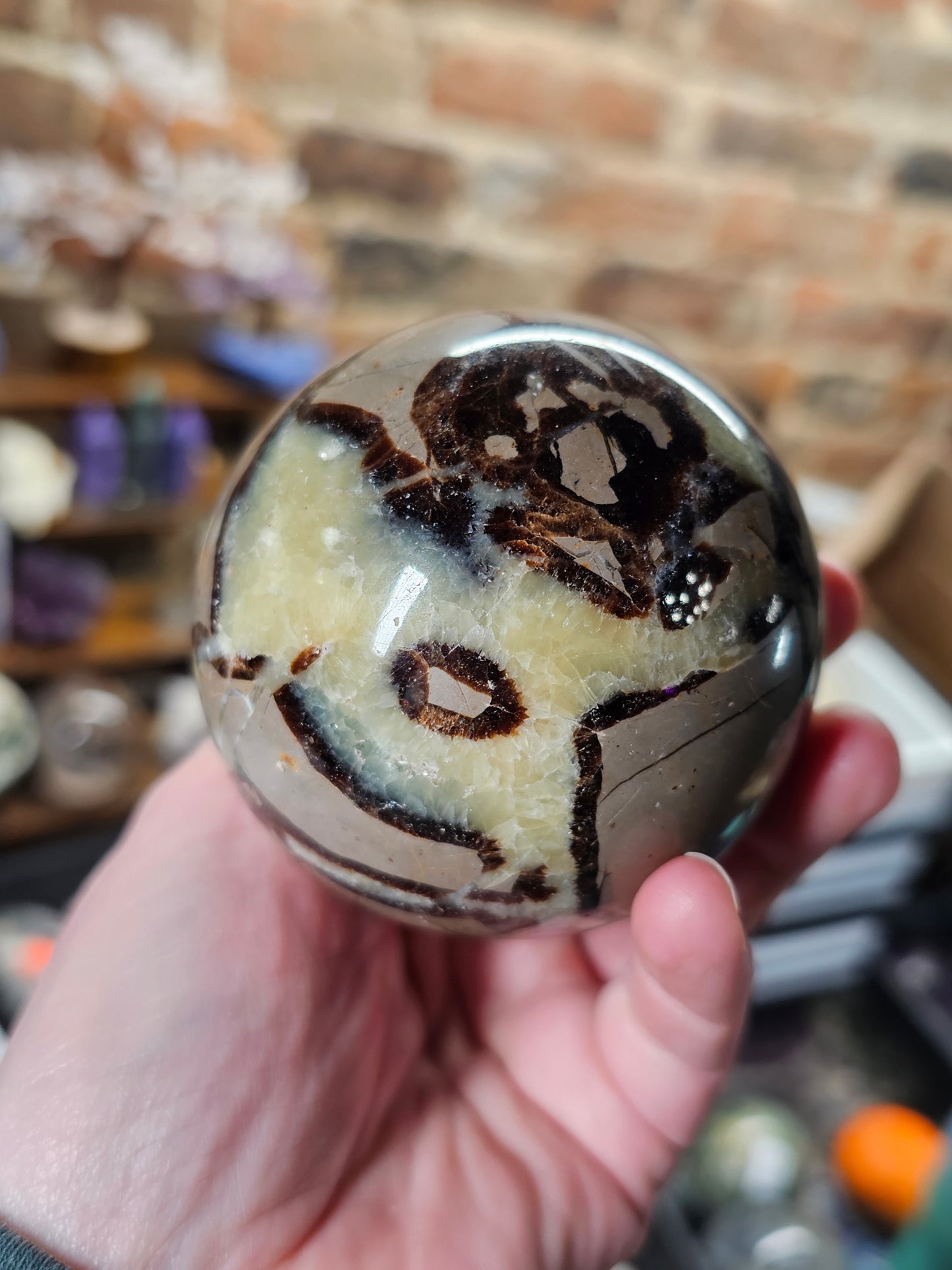 Septarian Nodule Sphere