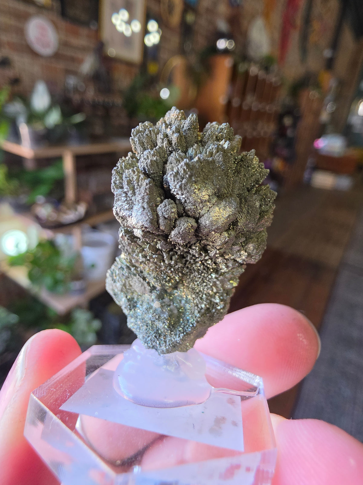 Marcasite Specimen