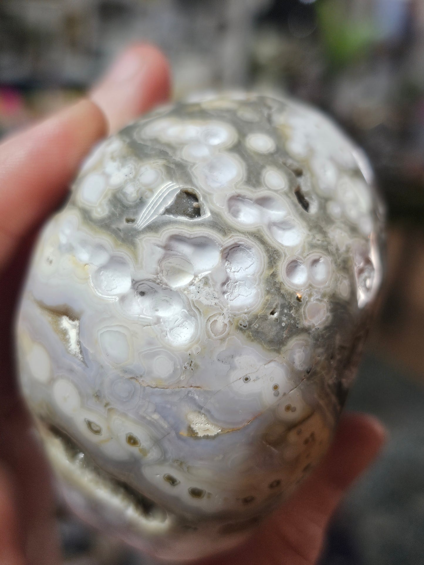Orbicular Jasper Skull