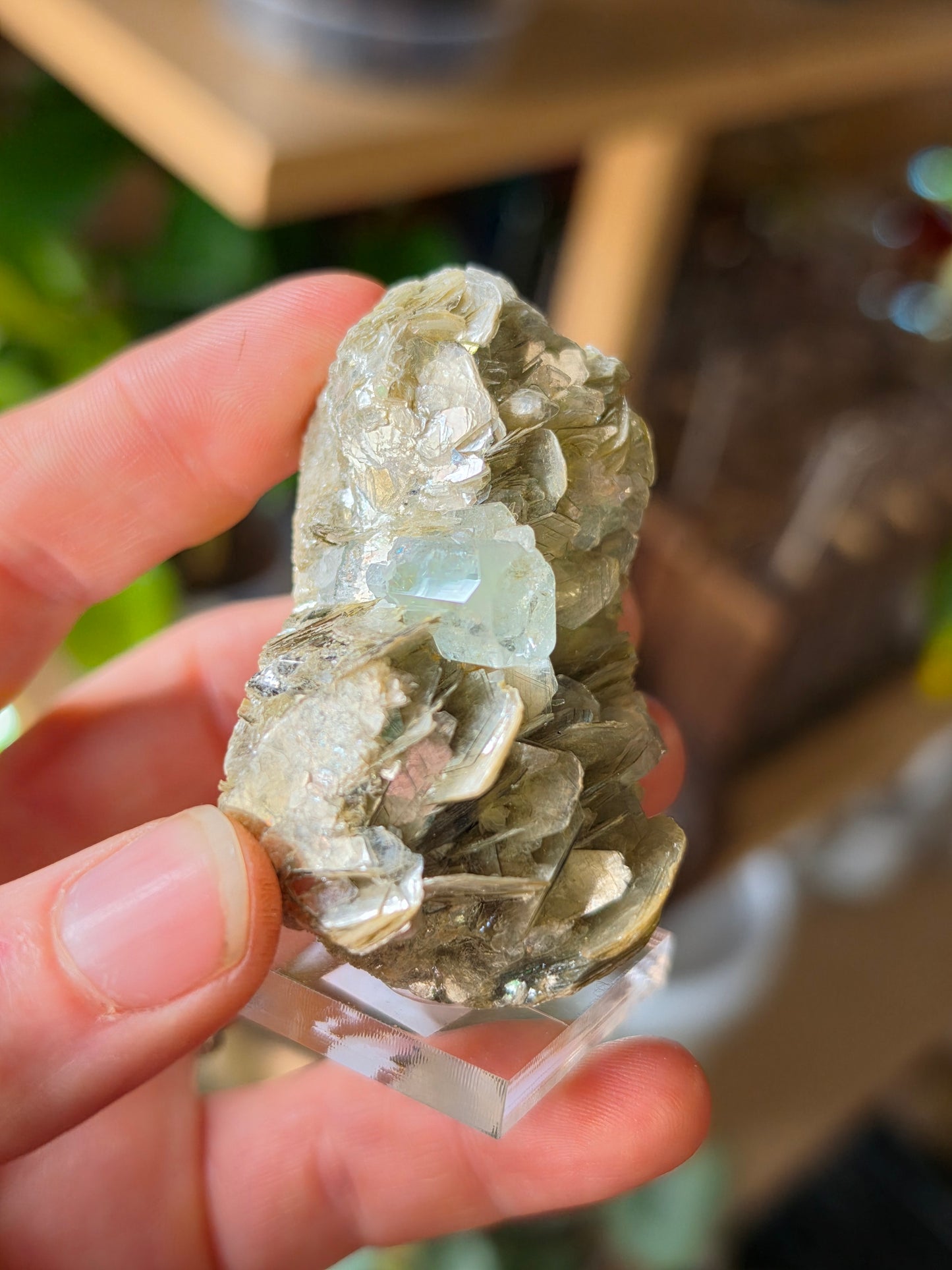 Aquamarine on Muscovite