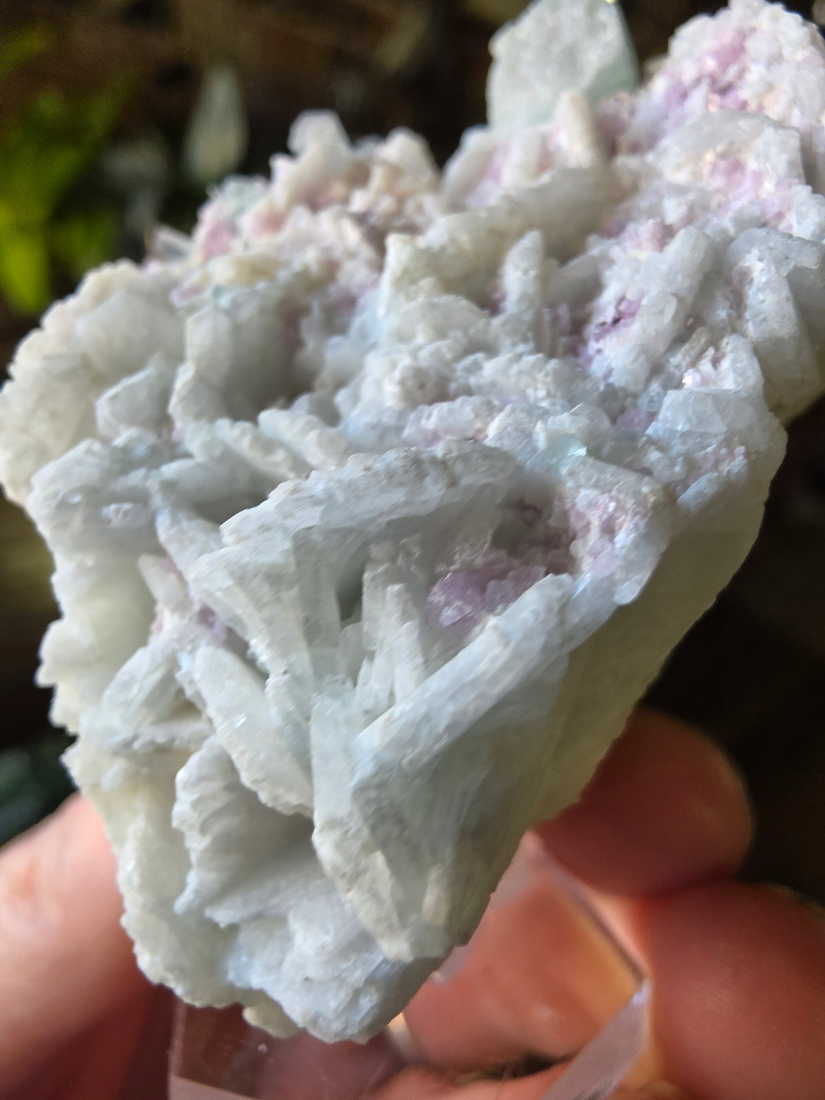 Blue Tourmaline and Lepidolite on Cleavlandite