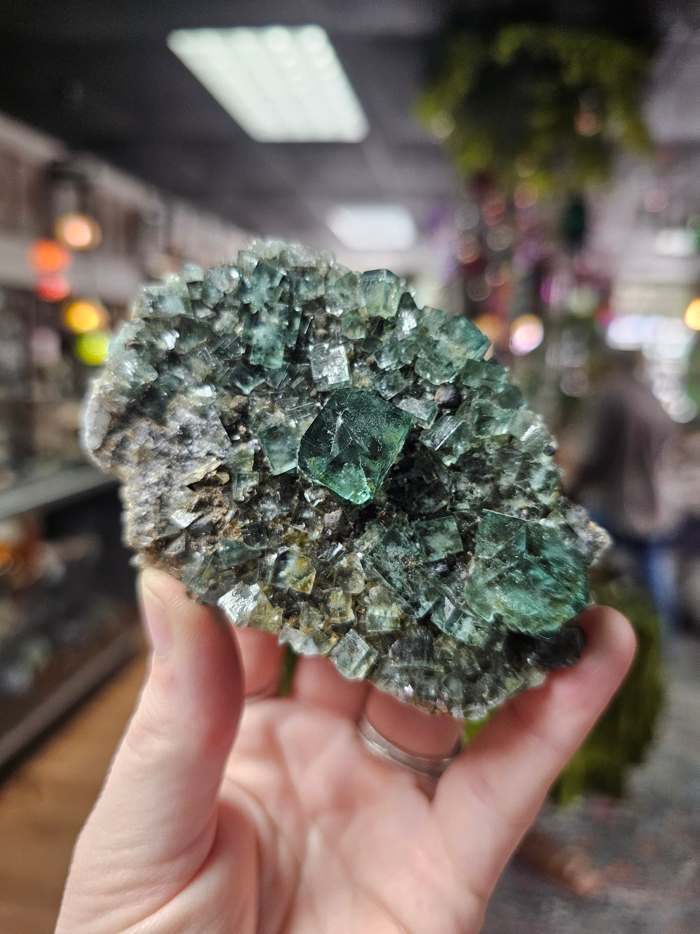 Diana Maria Fluorite