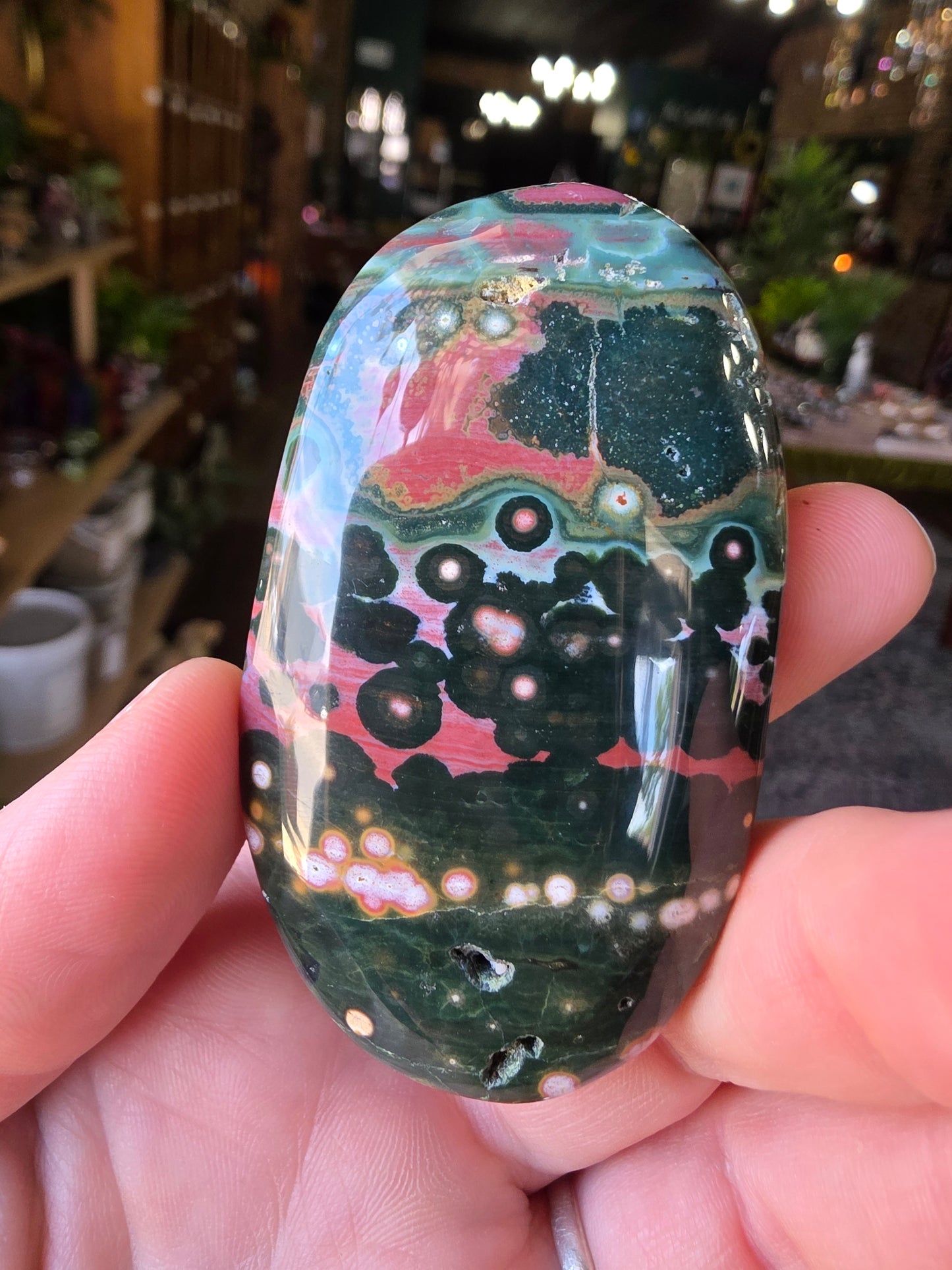 Orbicular Jasper Palmstone