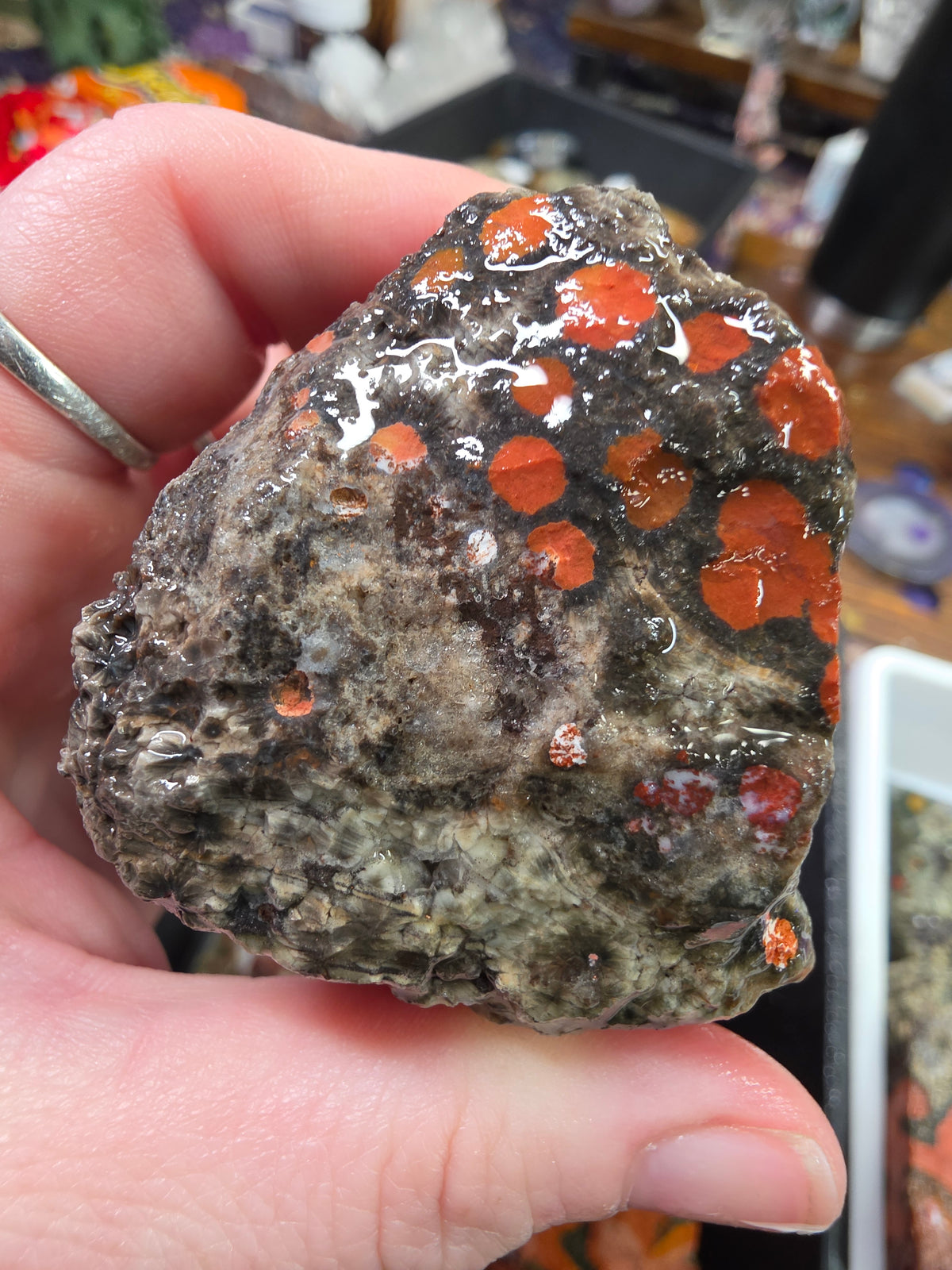 Orbicular Jasper Rough