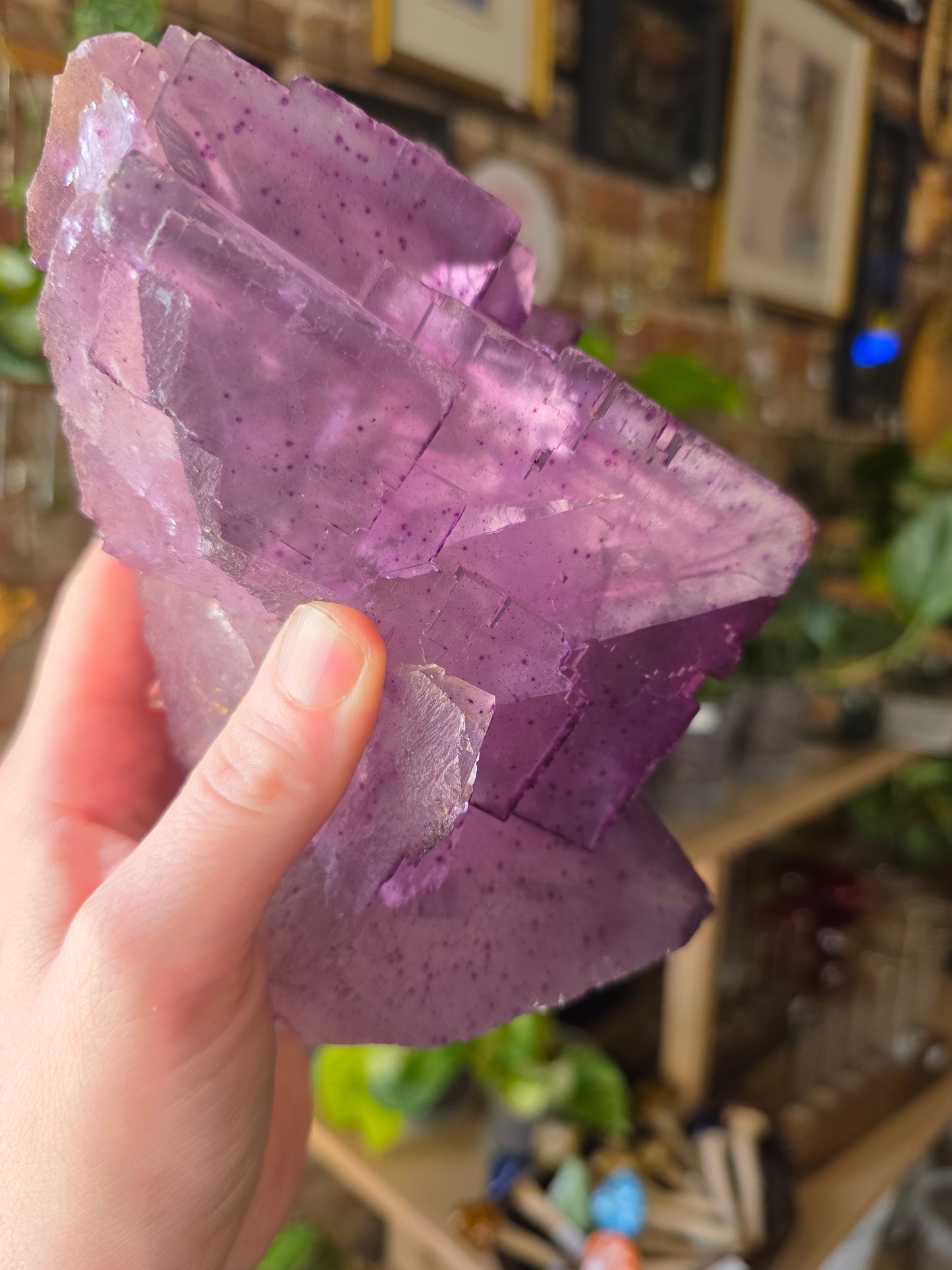 Illinois Cave In Rock Fluorite