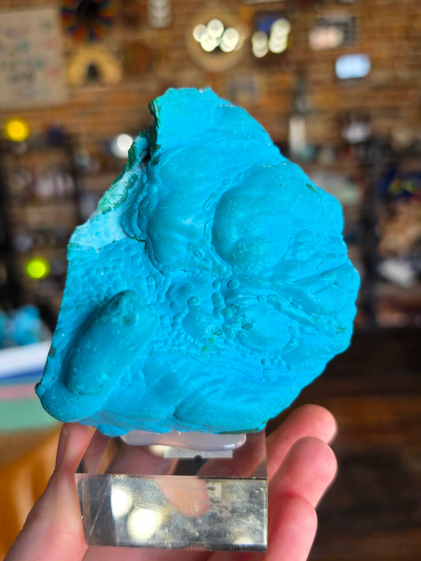 Chrysocolla and Malachite Specimen
