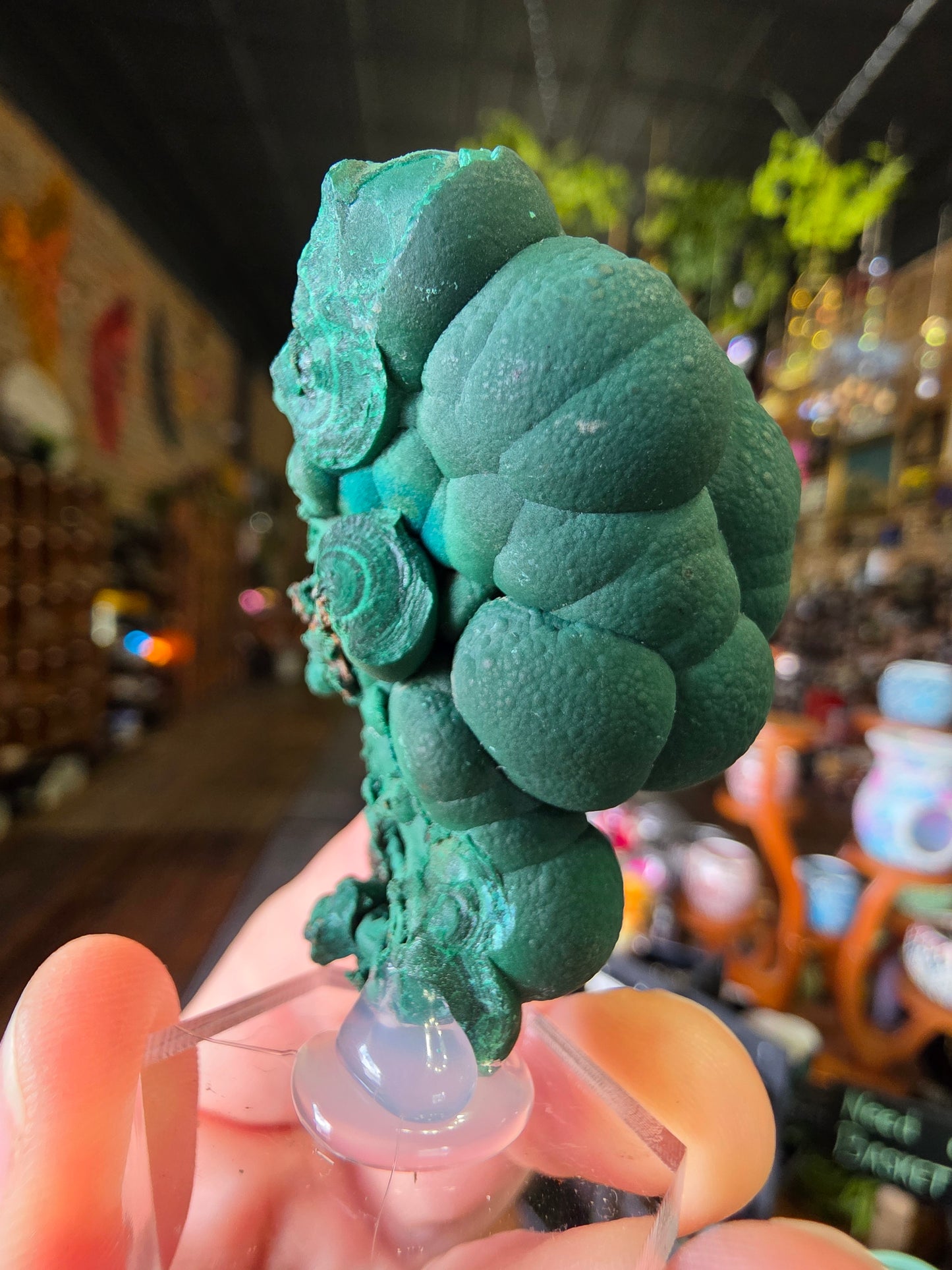 Botryoidal Malachite