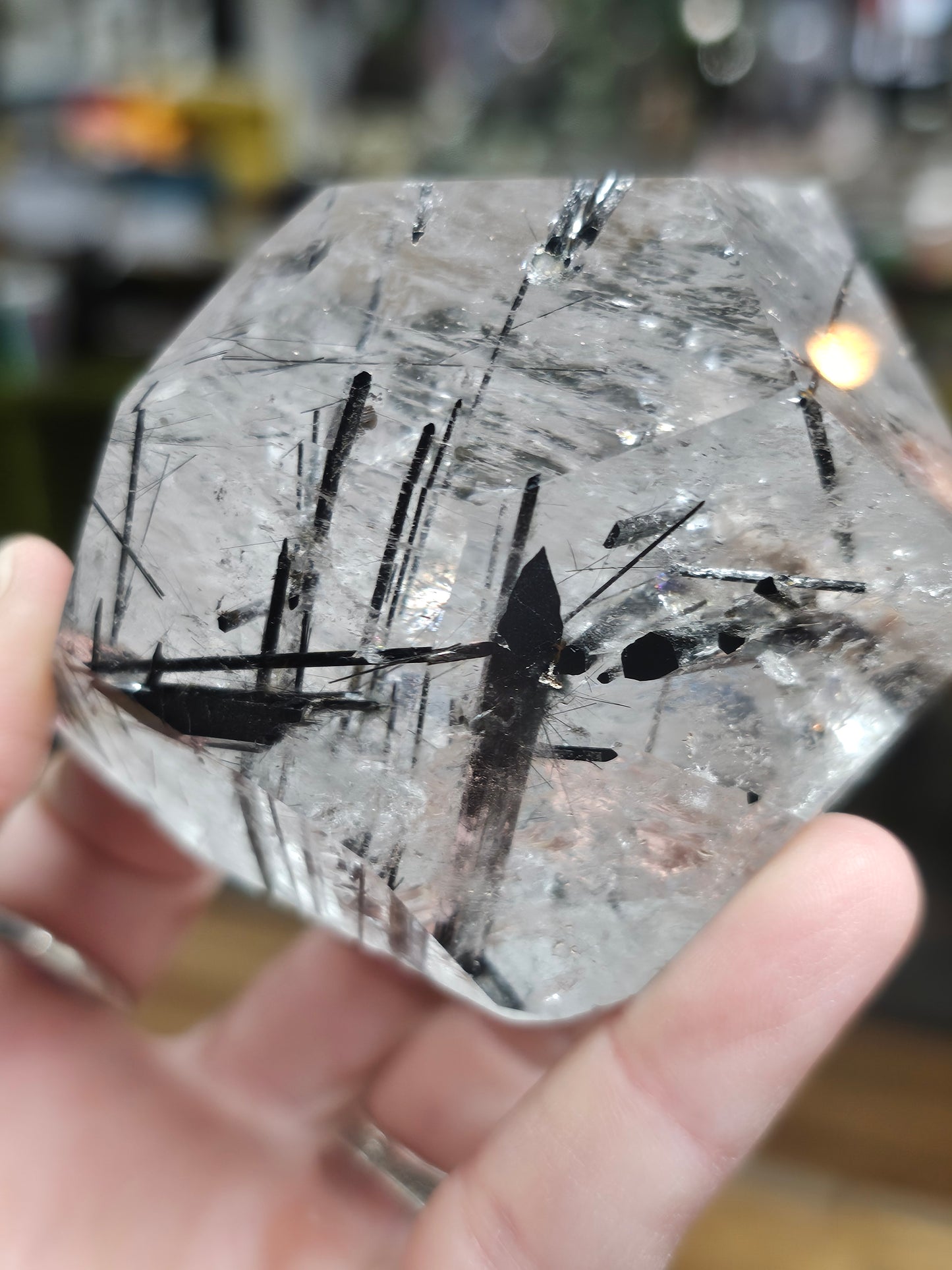 Black Tourmaline in Quartz Freeform