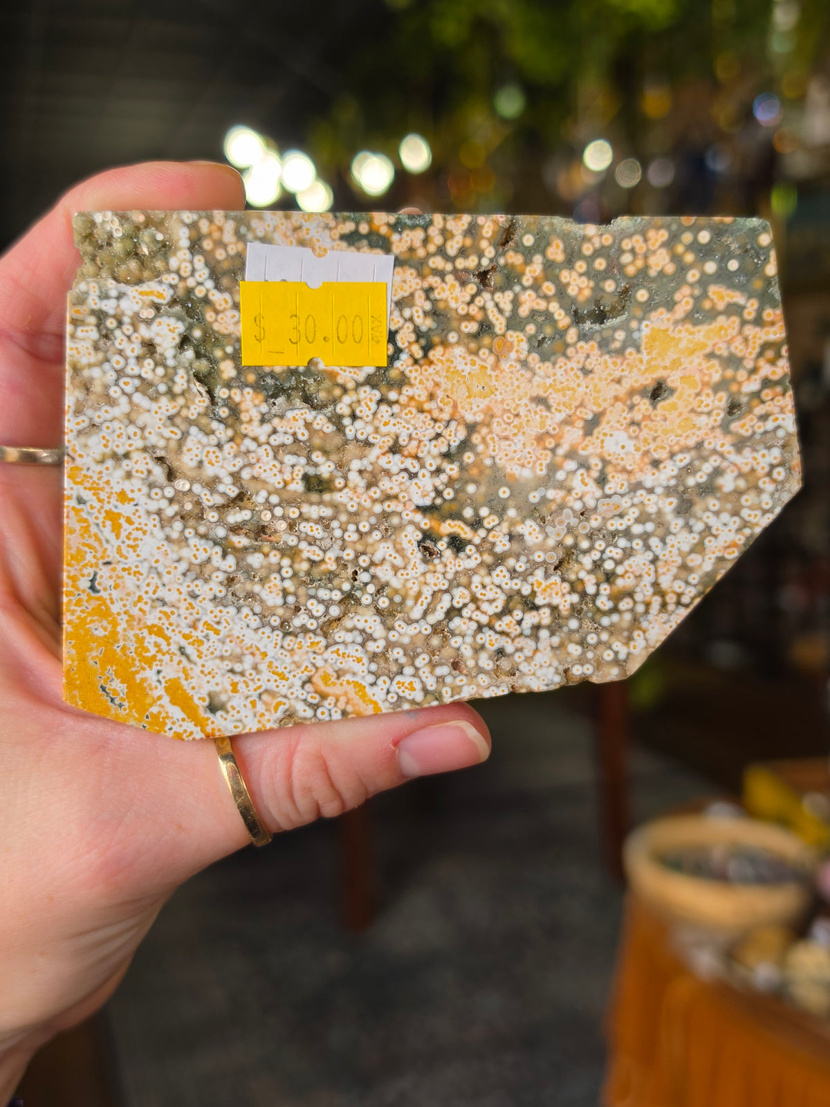 Ocean Jasper Polished Slab