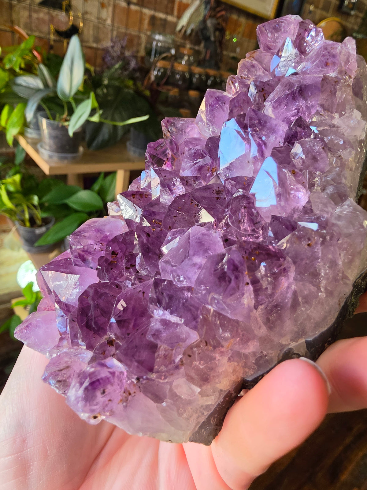 Cut Base Amethyst Cluster