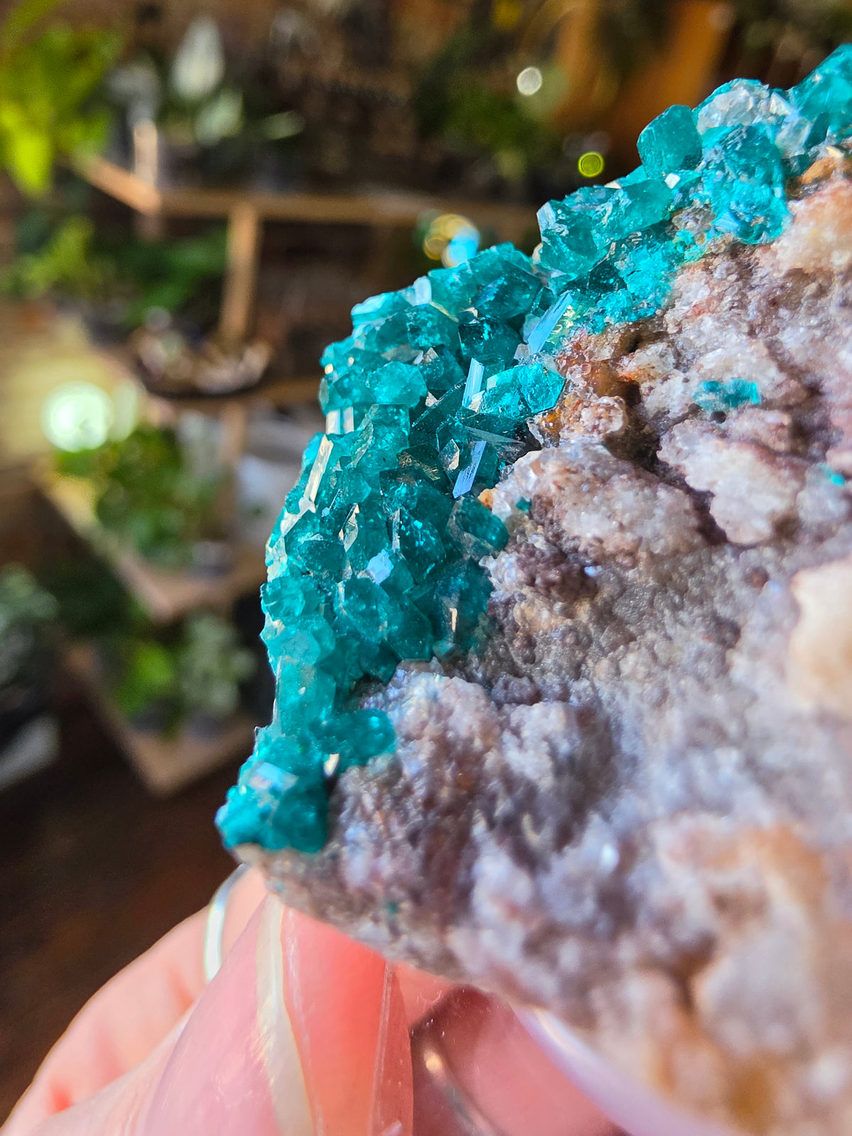 Dioptase
