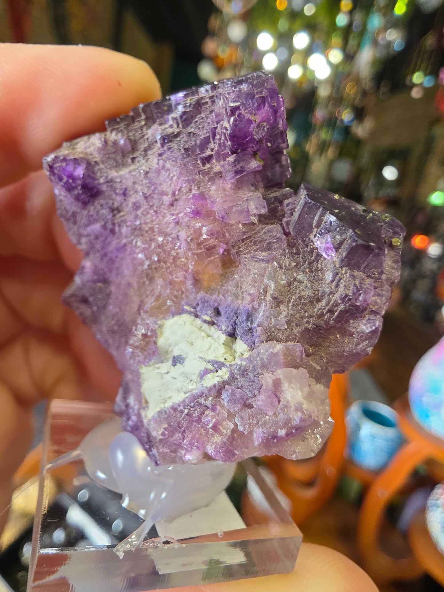 Pyrite on Fluorite