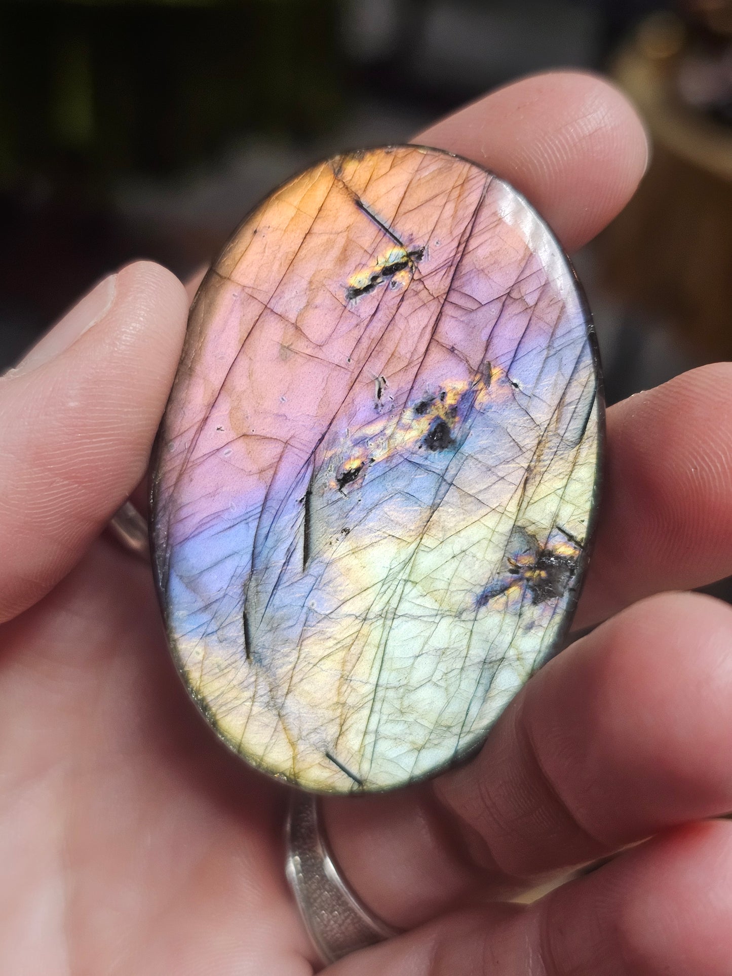 Spectralite Cabochon