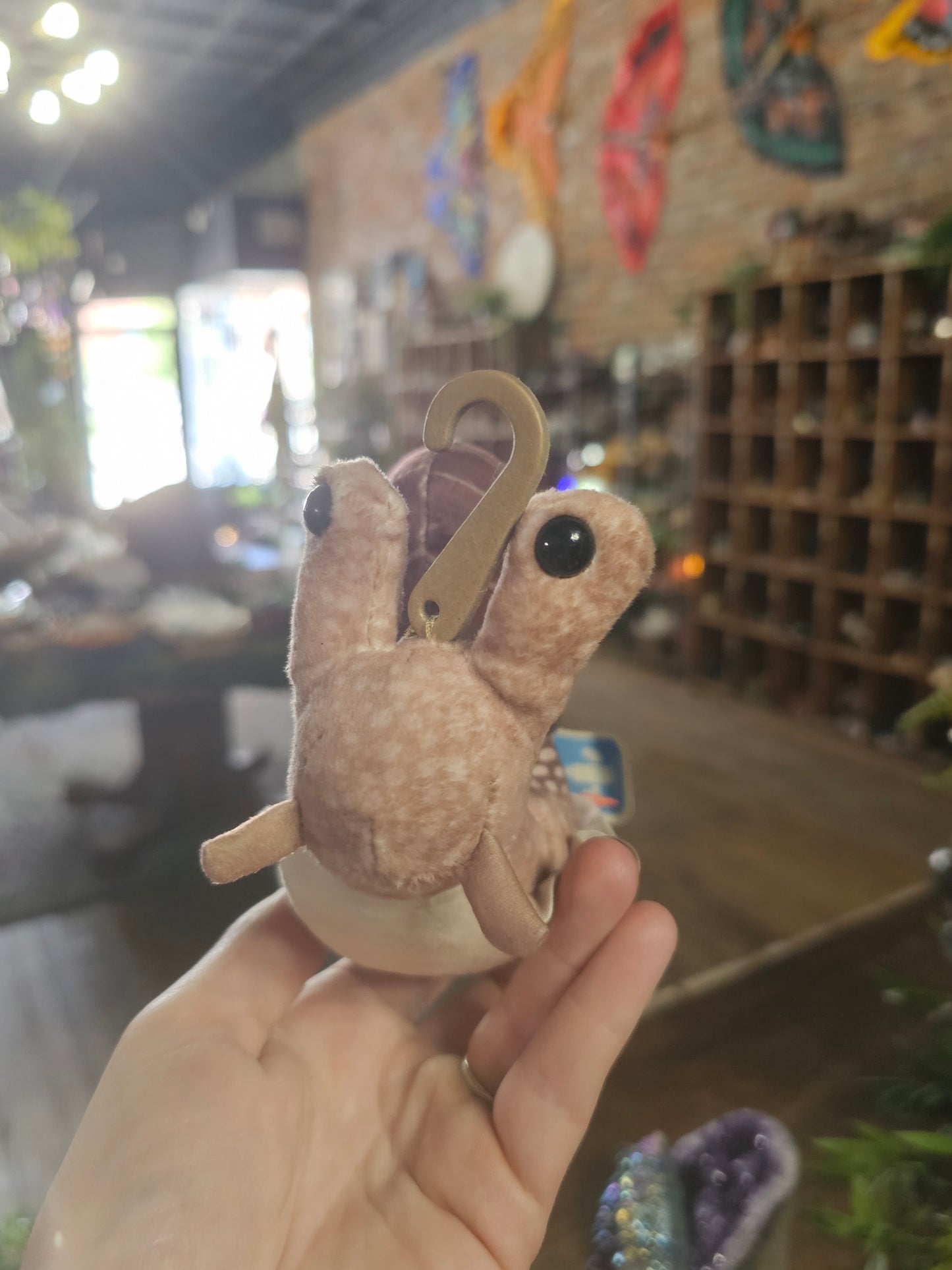 Wild Republic Pocketkins Snail
