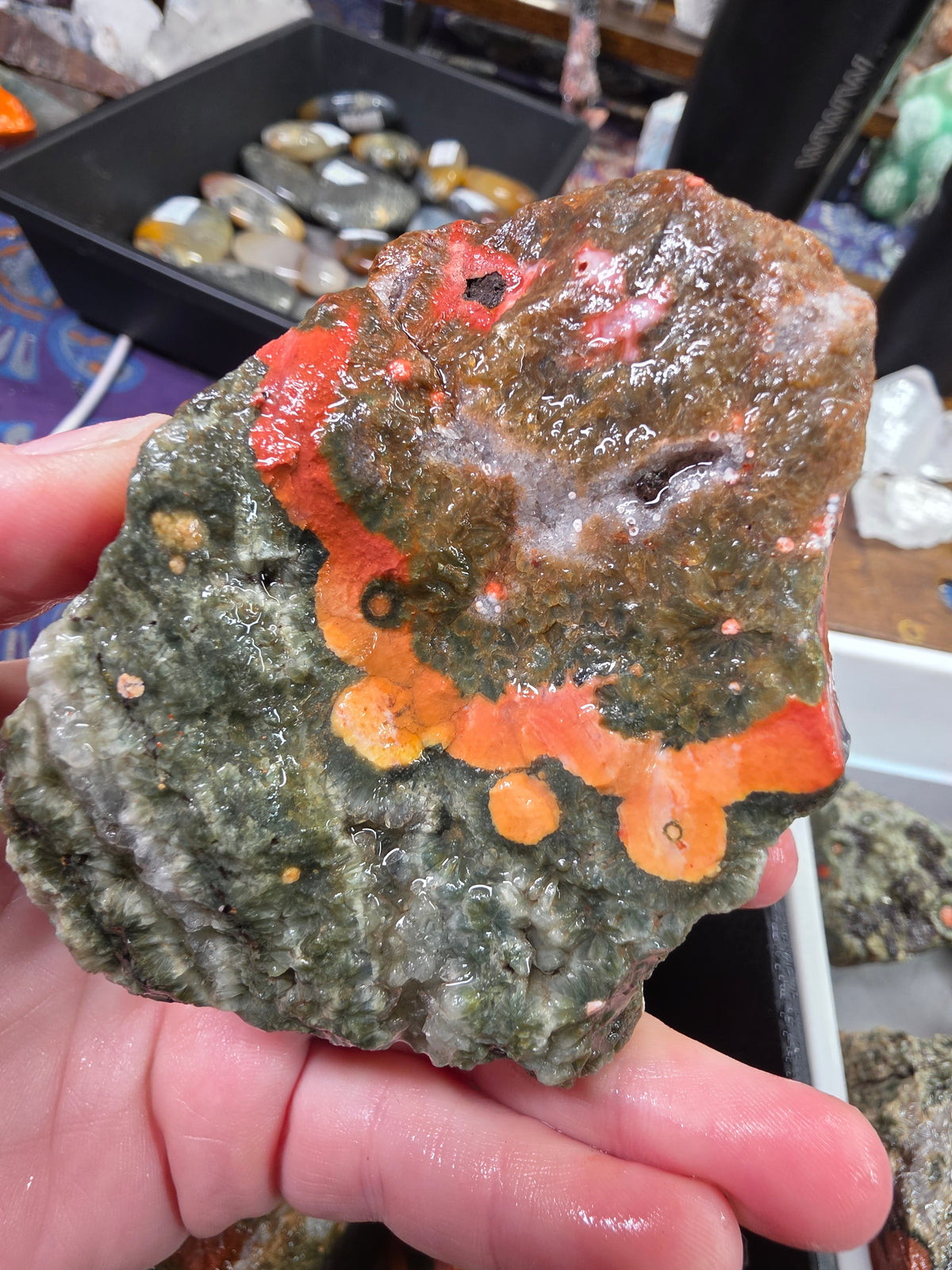 Orbicular Jasper Rough