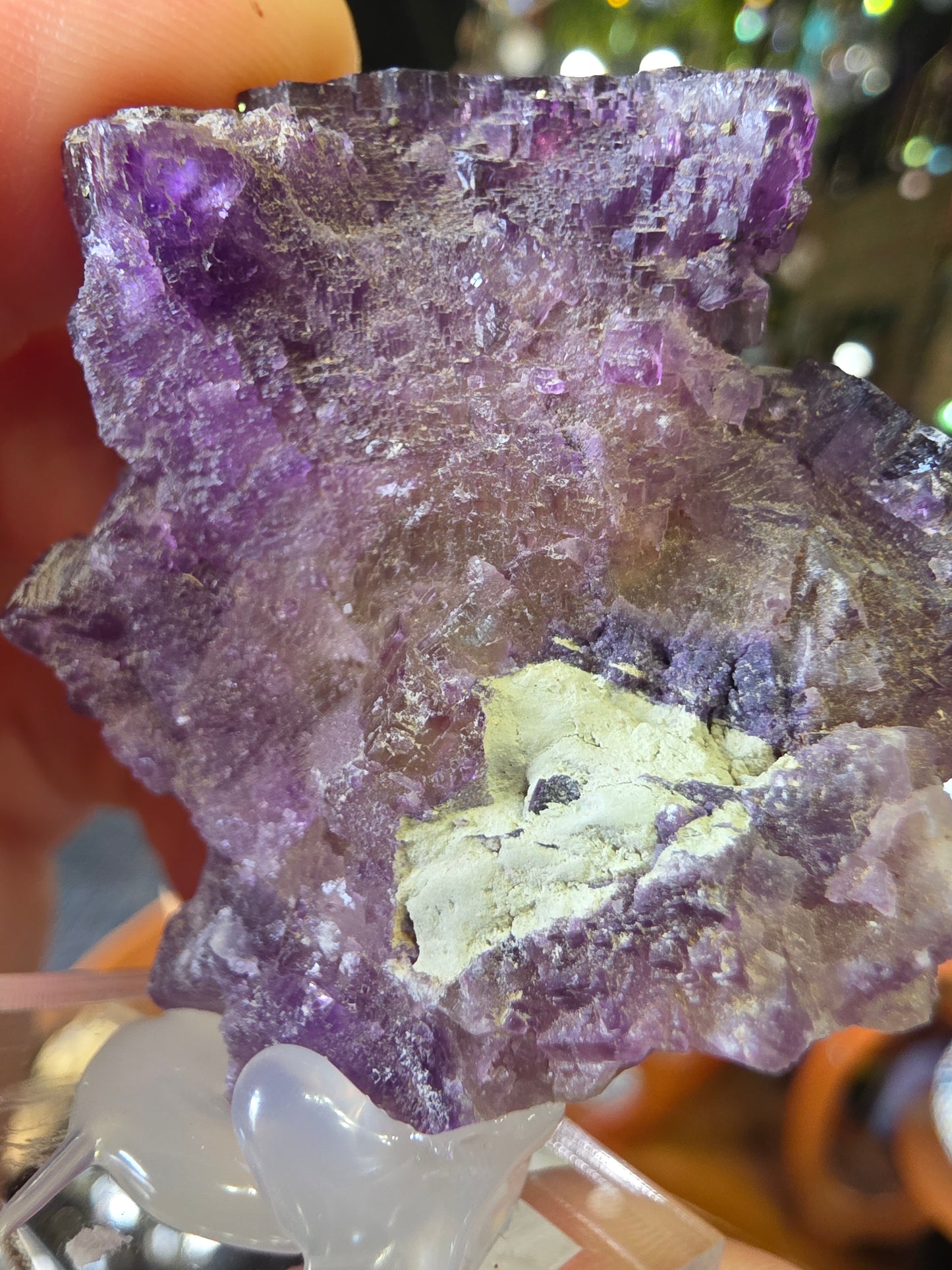 Pyrite on Fluorite