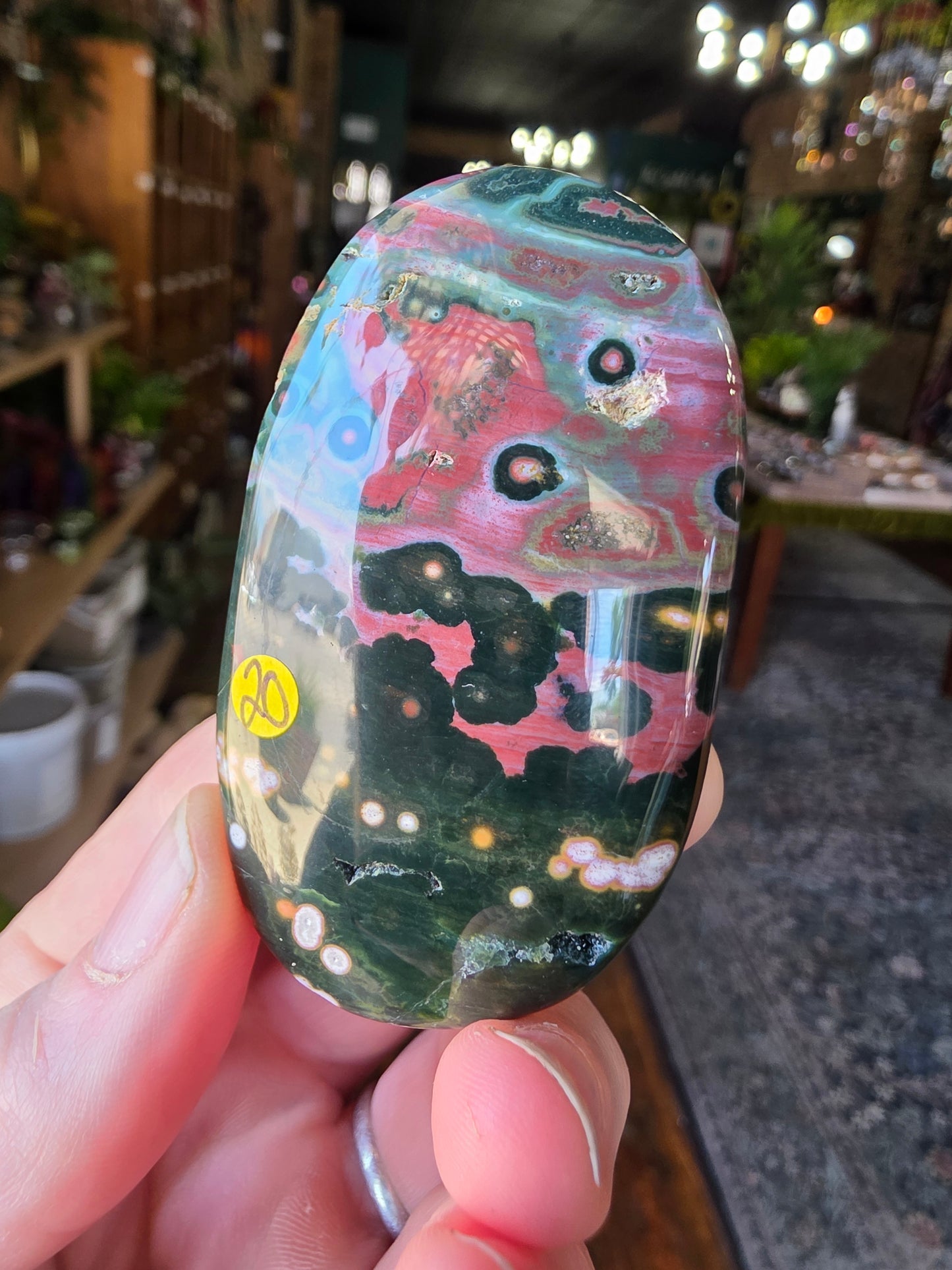Orbicular Jasper Palmstone