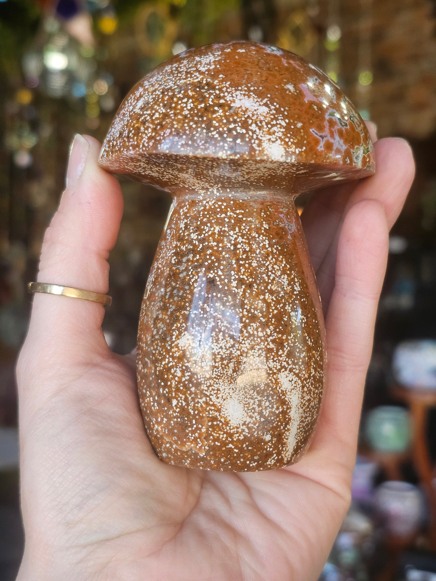 Orbicular Jasper Mushroom
