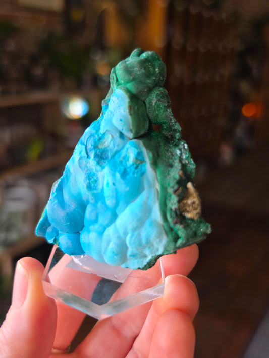 Chrysocolla and Malachite