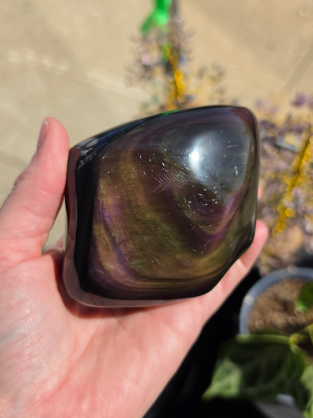 Rainbow Obsidian Freeform