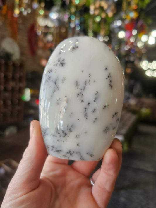 Dendritic Common Opal Freeform
