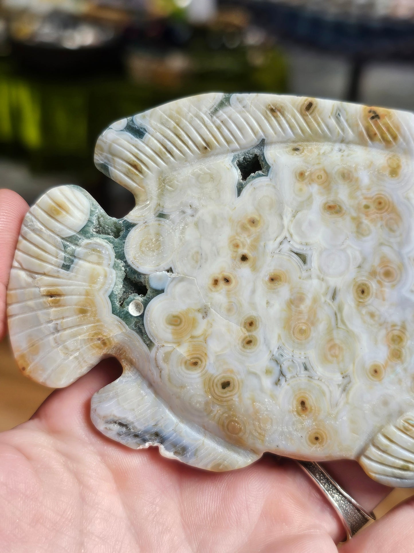 8th Vein Ocean Jasper Fish