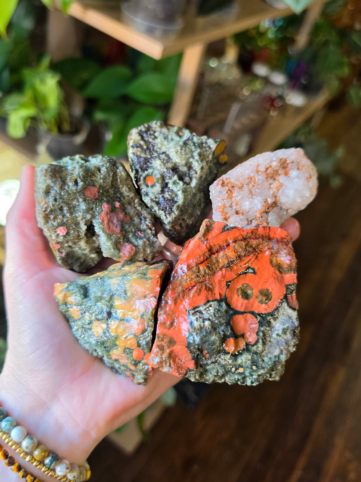 Orbicular Jasper Rough