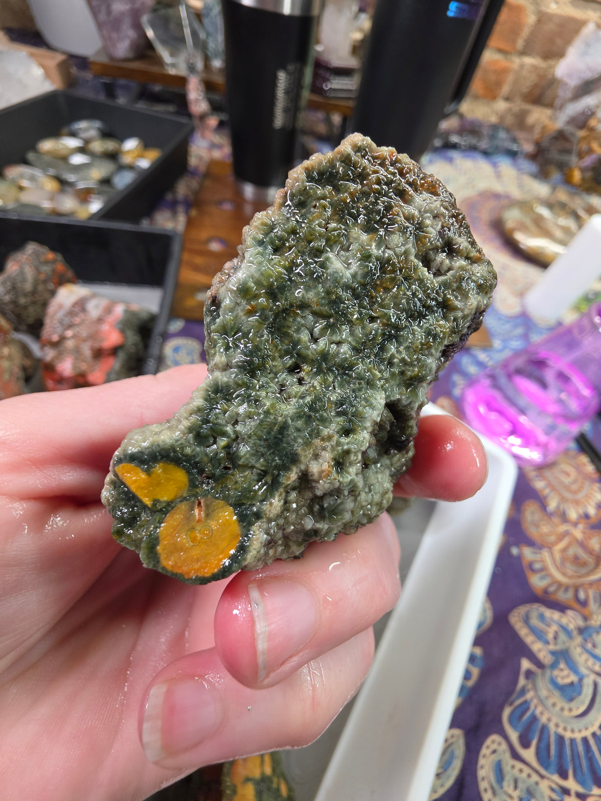 Orbicular Jasper Rough