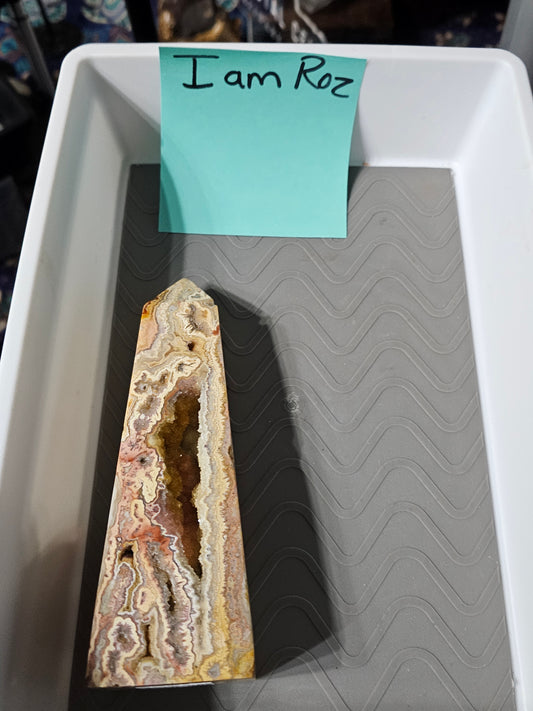 I am Roz 1-2