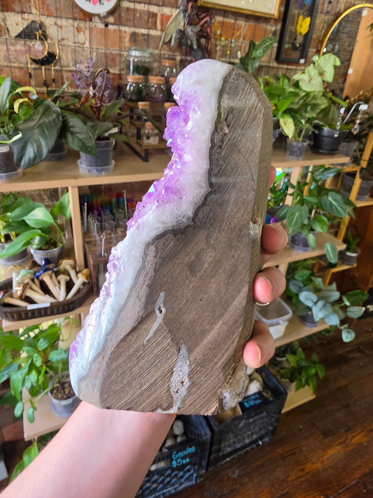 Cut Base Amethyst Cluster