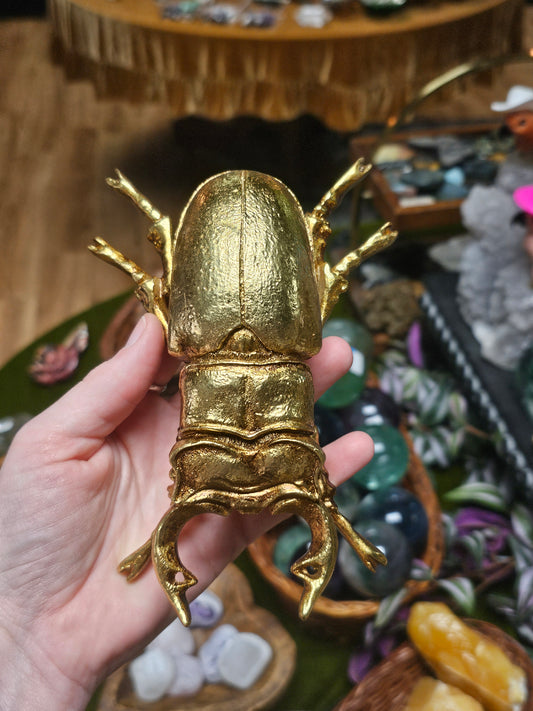Golden Stag Beetle Wall Decor