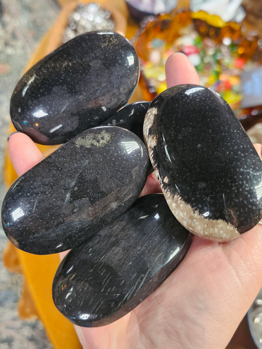 Petrified Wood
