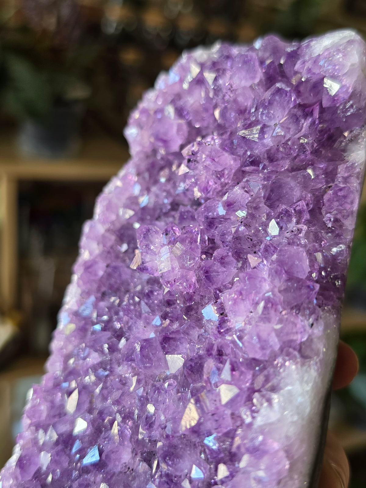 Cut Base Amethyst Cluster
