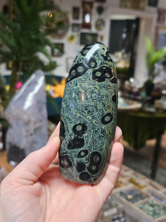 Kambaba Jasper Freeform