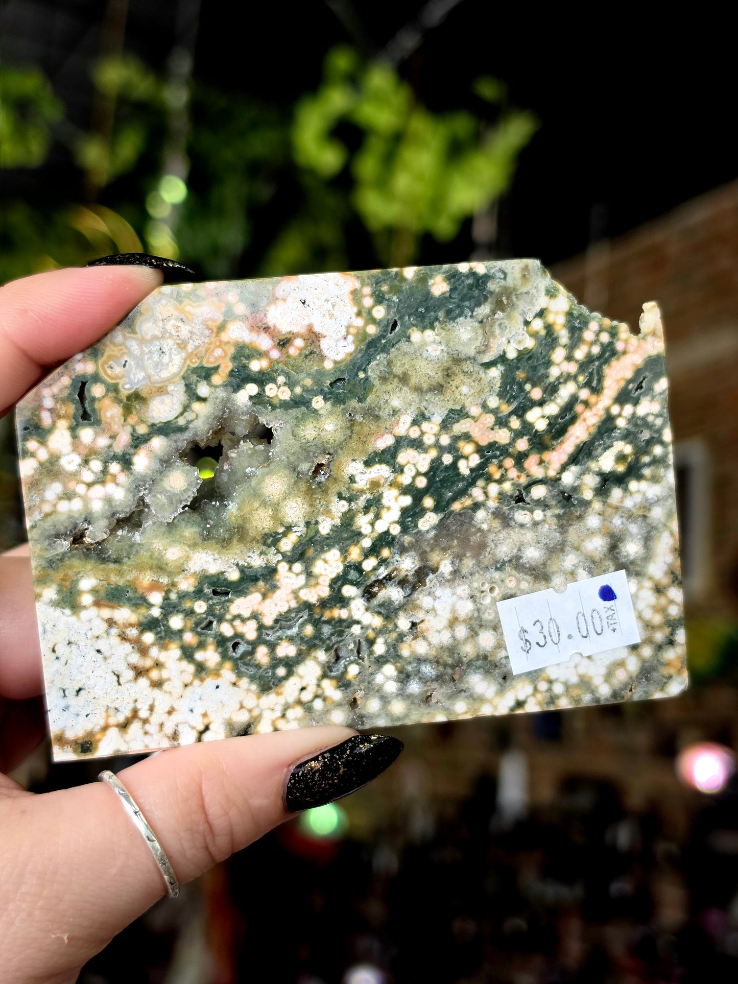 Ocean Jasper Polished Slab