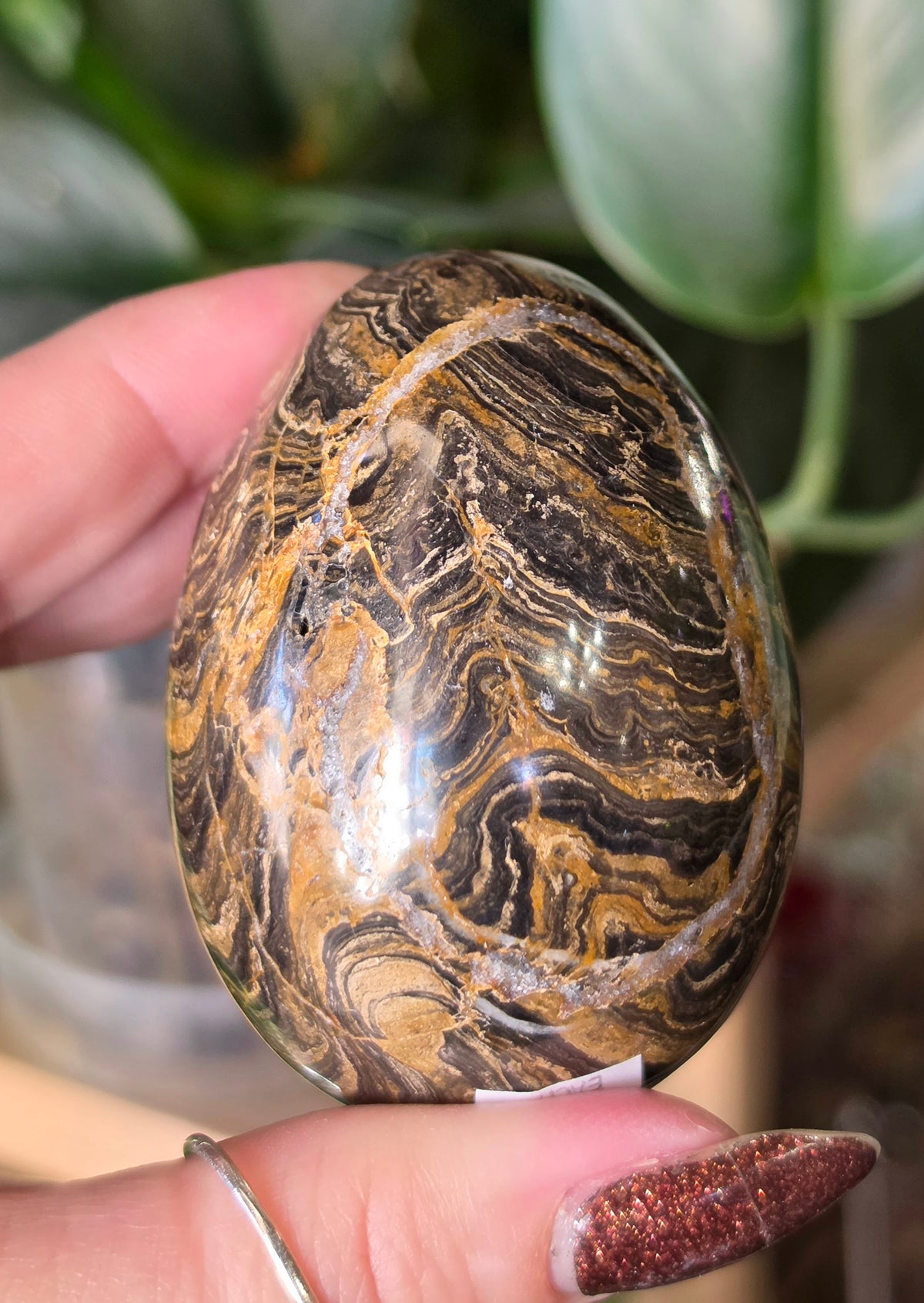 Stromatolite Egg