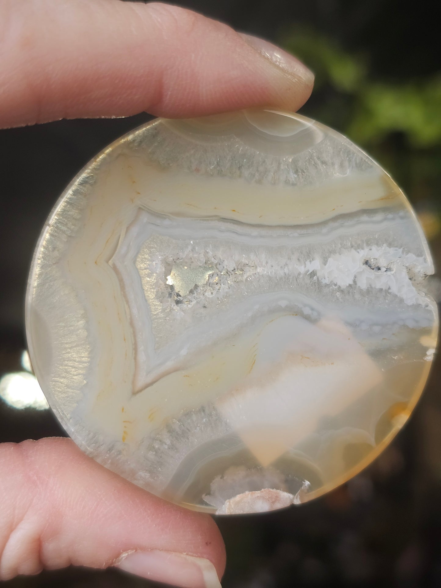 Flower Agate Disc