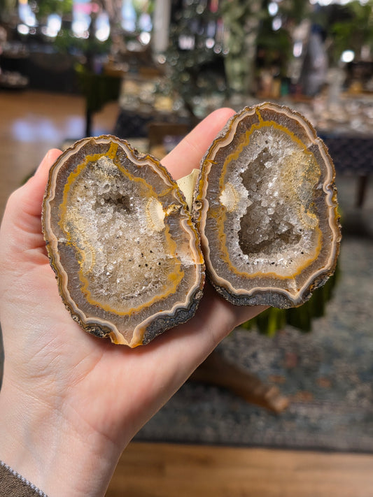 Fighting Blood agate