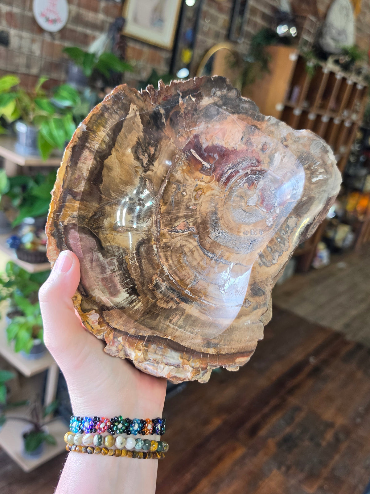 Petrified Wood Bowl